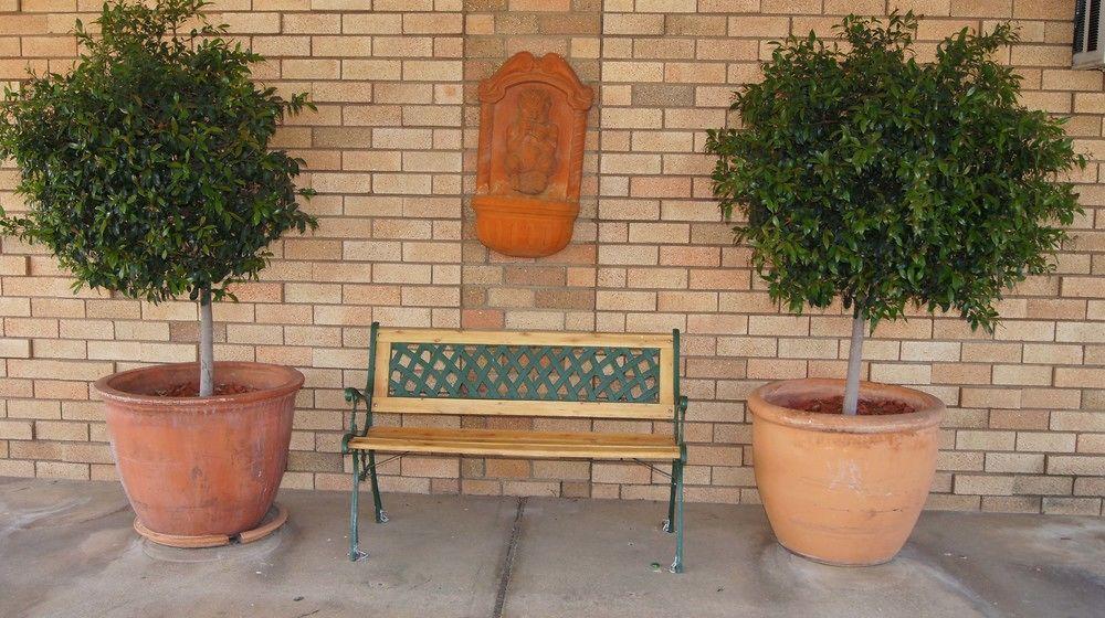 Ningana Motel Mudgee Bagian luar foto
